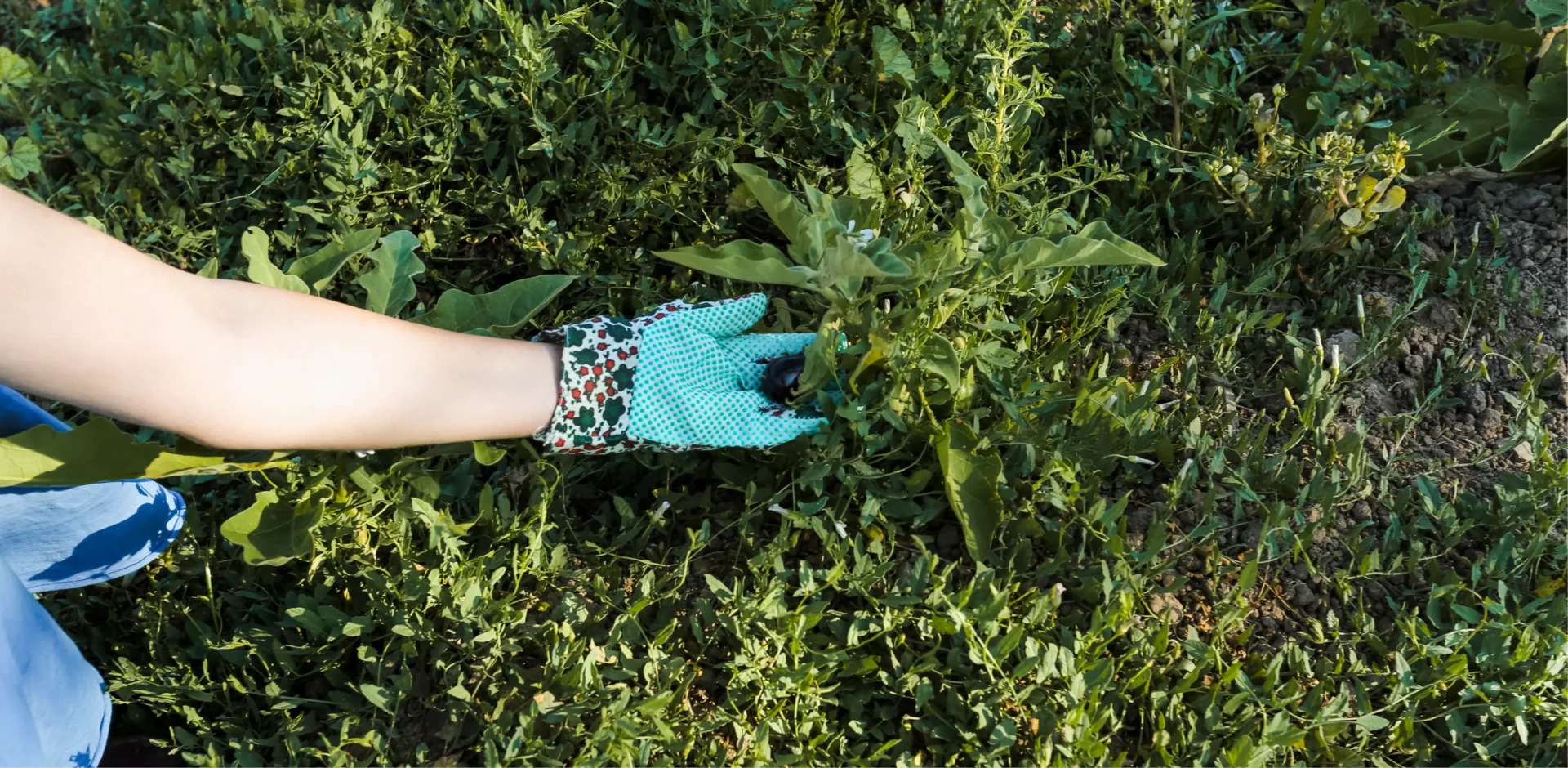 Brejoin Paysages Paysagiste En Ille Et Vilaine 35 3